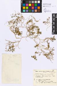 SW_BNB_s3080-03519_IMG-0000000001