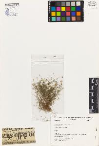 SW_BNB_s3080-03526_IMG-0000000001