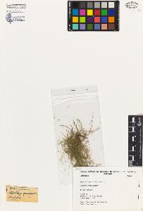 SW_BNB_s3080-03527_IMG-0000000001