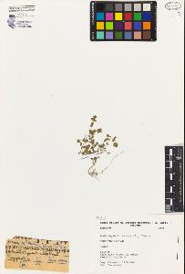 SW_BNB_s3080-03532_IMG-0000000001