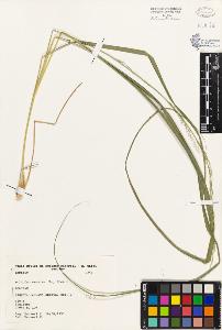 SW_BNB_s3080-03533_IMG-0000000001