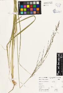 SW_BNB_s3080-03536_IMG-0000000001