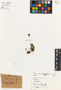SW_BNB_s3080-03539_IMG-0000000001