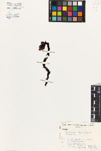 SW_BNB_s3080-03541_IMG-0000000001