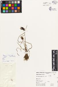 SW_BNB_s3080-03543_IMG-0000000001