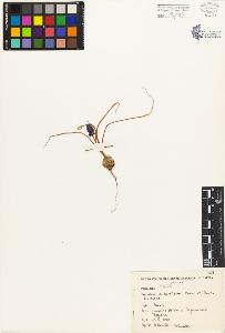 SW_BNB_s3080-03545_IMG-0000000001