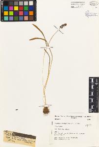 SW_BNB_s3080-03547_IMG-0000000001