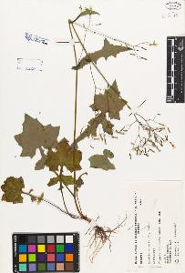 SW_BNB_s3080-03551_IMG-0000000001