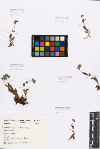 SW_BNB_s3080-03554_IMG-0000000001