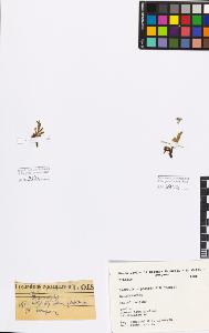 SW_BNB_s3080-03557_IMG-0000000001