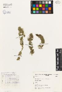 SW_BNB_s3080-03568_IMG-0000000001