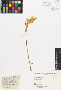 SW_BNB_s3080-03570_IMG-0000000001