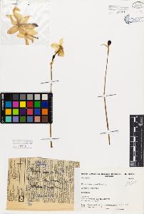 SW_BNB_s3080-03571_IMG-0000000001