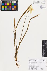 SW_BNB_s3080-03573_IMG-0000000001
