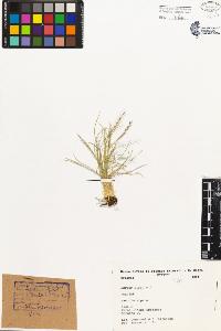 SW_BNB_s3080-03575_IMG-0000000001