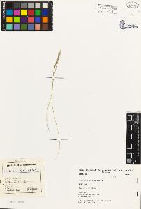 SW_BNB_s3080-03578_IMG-0000000001