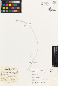 SW_BNB_s3080-03579_IMG-0000000001
