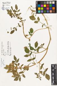 SW_BNB_s3080-03581_IMG-0000000001