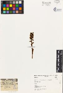 SW_BNB_s3080-03589_IMG-0000000001