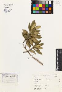 SW_BNB_s3080-03598_IMG-0000000001