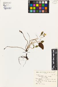 SW_BNB_s3080-03599_IMG-0000000001