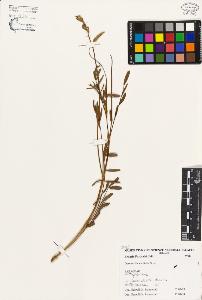 SW_BNB_s3080-03604_IMG-0000000001