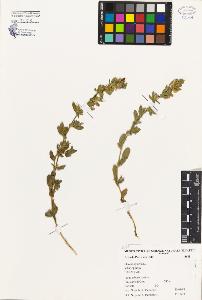 SW_BNB_s3080-03606_IMG-0000000001