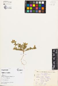 SW_BNB_s3080-03609_IMG-0000000001