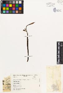 SW_BNB_s3080-03613_IMG-0000000001