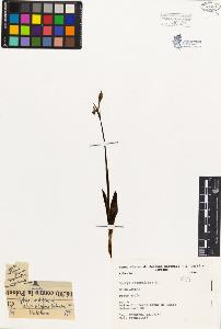 SW_BNB_s3080-03615_IMG-0000000001