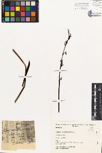 SW_BNB_s3080-03616_IMG-0000000001