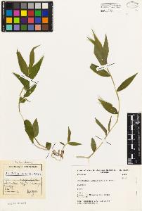 SW_BNB_s3080-03618_IMG-0000000001