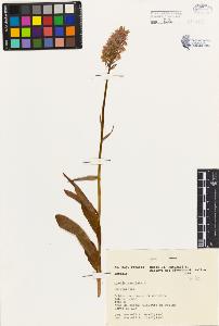 SW_BNB_s3080-03623_IMG-0000000001
