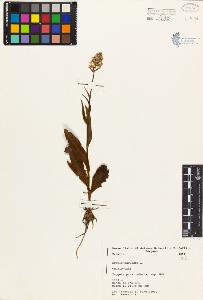 SW_BNB_s3080-03624_IMG-0000000001