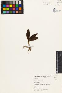 SW_BNB_s3080-03625_IMG-0000000001
