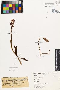 SW_BNB_s3080-03627_IMG-0000000001