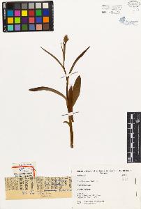 SW_BNB_s3080-03628_IMG-0000000001