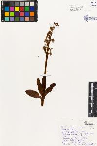 SW_BNB_s3080-03629_IMG-0000000001