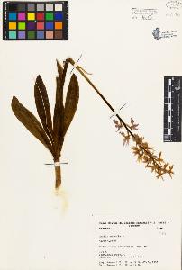 SW_BNB_s3080-03630_IMG-0000000001
