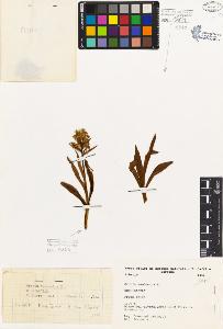 SW_BNB_s3080-03645_IMG-0000000001