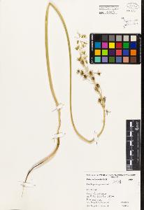 SW_BNB_s3080-03651_IMG-0000000001