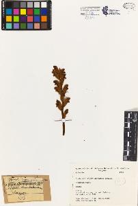 SW_BNB_s3080-03658_IMG-0000000001