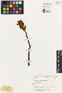 SW_BNB_s3080-03660_IMG-0000000001