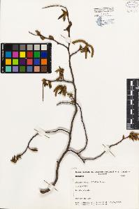 SW_BNB_s3080-03671_IMG-0000000001