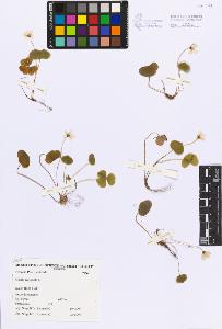 SW_BNB_s3080-03674_IMG-0000000001