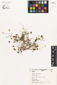 SW_BNB_s3080-03676_IMG-0000000001