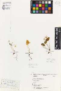SW_BNB_s3080-03677_IMG-0000000001