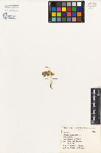 SW_BNB_s3080-03678_IMG-0000000001