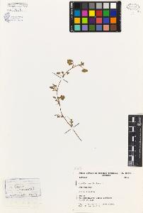 SW_BNB_s3080-03680_IMG-0000000001