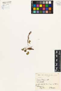 SW_BNB_s3080-03687_IMG-0000000001